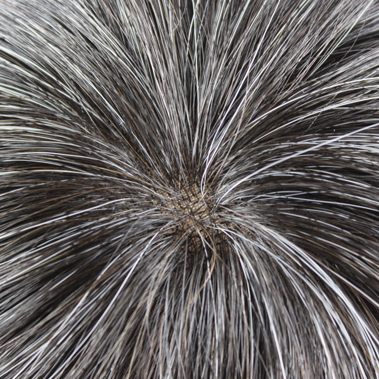 Male human hair lace hairpiece SJ00162
